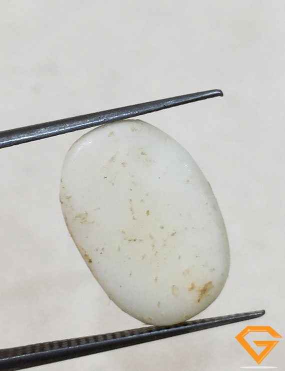8.00 ratti/7.18 ct Natural Certified  White Coral/सफ़ेद मूंगा